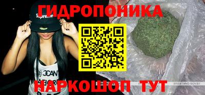 бошки Донецк