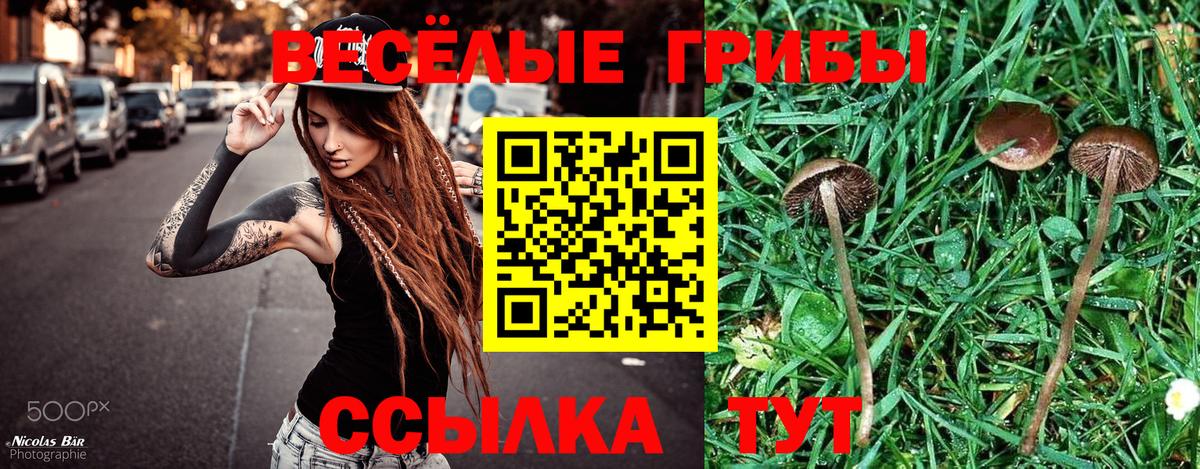 Галлюциногенные грибы Psilocybe Наро-Фоминск