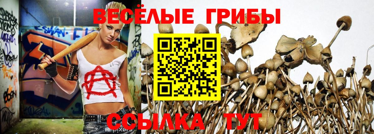Псилоцибиновые грибы Magic Shrooms  Вход с VPN  Наро-Фоминск 